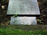 image of grave number 259699